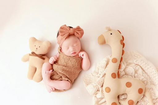 济南宝宝虾的做法 济南宝宝虾的做法