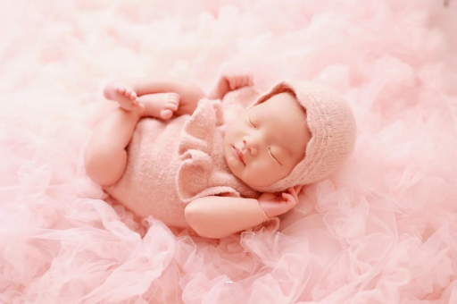 济南8个月宝宝辅食